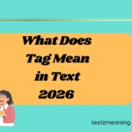 What Does Tag Mean in Text