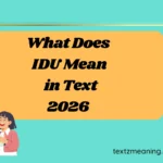 What Does IDU Mean in Text