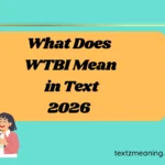 What Does WTBI Mean in Text