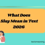 What Does Slay Mean in Text