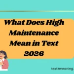 What Does High Maintenance Mean in Text