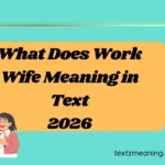 What Does Work Wife Meaning in Text