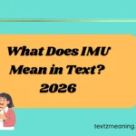 What Does IMU Mean in Text?