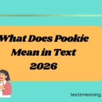 What Does Pookie Mean in Text