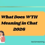 What Does WTH Meaning in Chat
