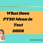 What Does PTSO Mean in Text