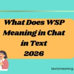 What Does WSP Meaning in Chat in Text