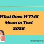 What Does WTMS Mean in Text