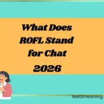 What Does ROFL Stand for Chat