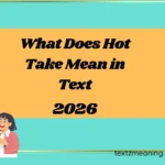 What Does Hot Take Mean in Text