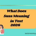 What Does Suss Meaning in Text