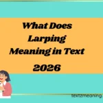What Does Larping Meaning in Text