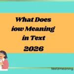 What Does iow Meaning in Text