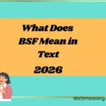 What Does BSF Mean in Text