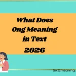 What Does Ong Meaning in Text