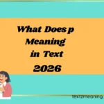 What Does p Meaning in Text