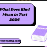 What Does Blud Mean in Text