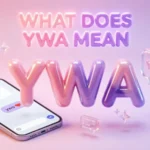 What Does YWA Mean 2026
