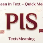 Pis Mean in Text Real Meaning 2026
