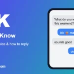 IDK meaning in text: I Don't Know, shown in a chat example