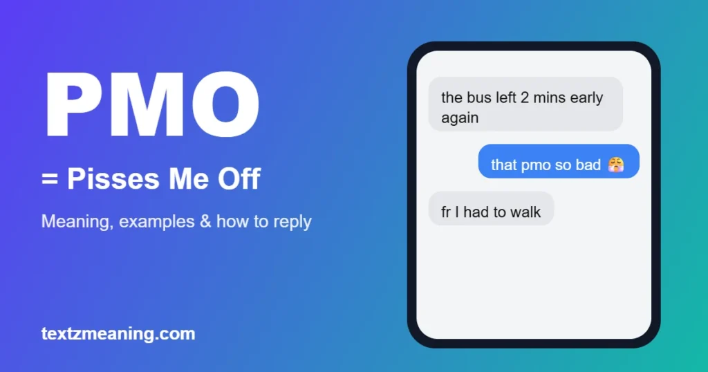 PMO meaning in text: Pisses Me Off, shown in a chat example