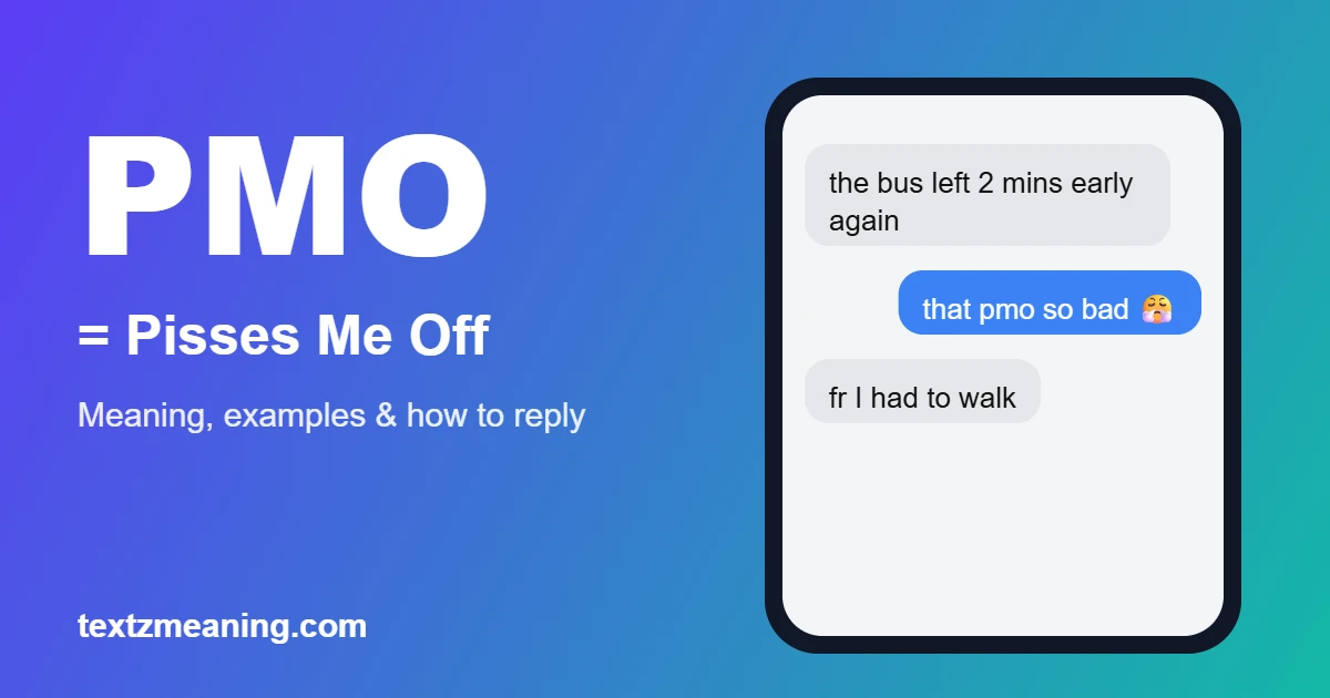 PMO meaning in text: Pisses Me Off, shown in a chat example